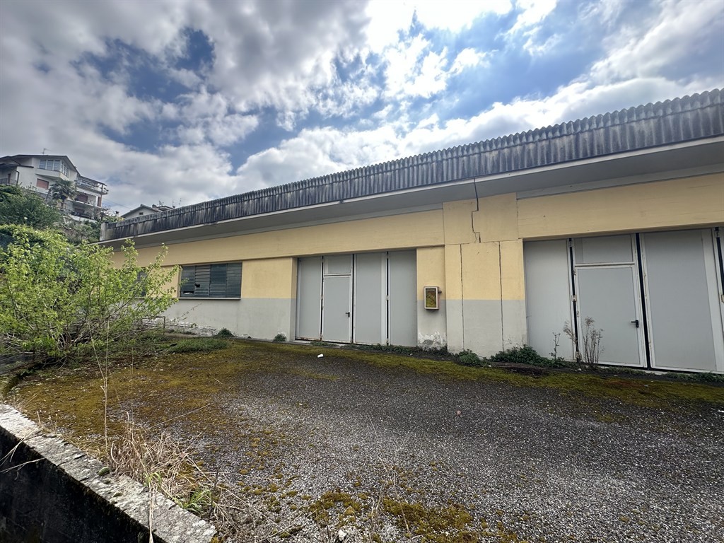 CAPANNONE DI C.A 3.081 MQ A CAPRINO B.SCO